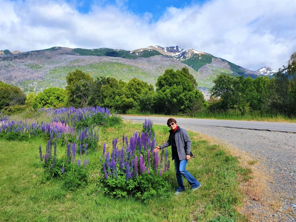 Parque Nacional los Alerces