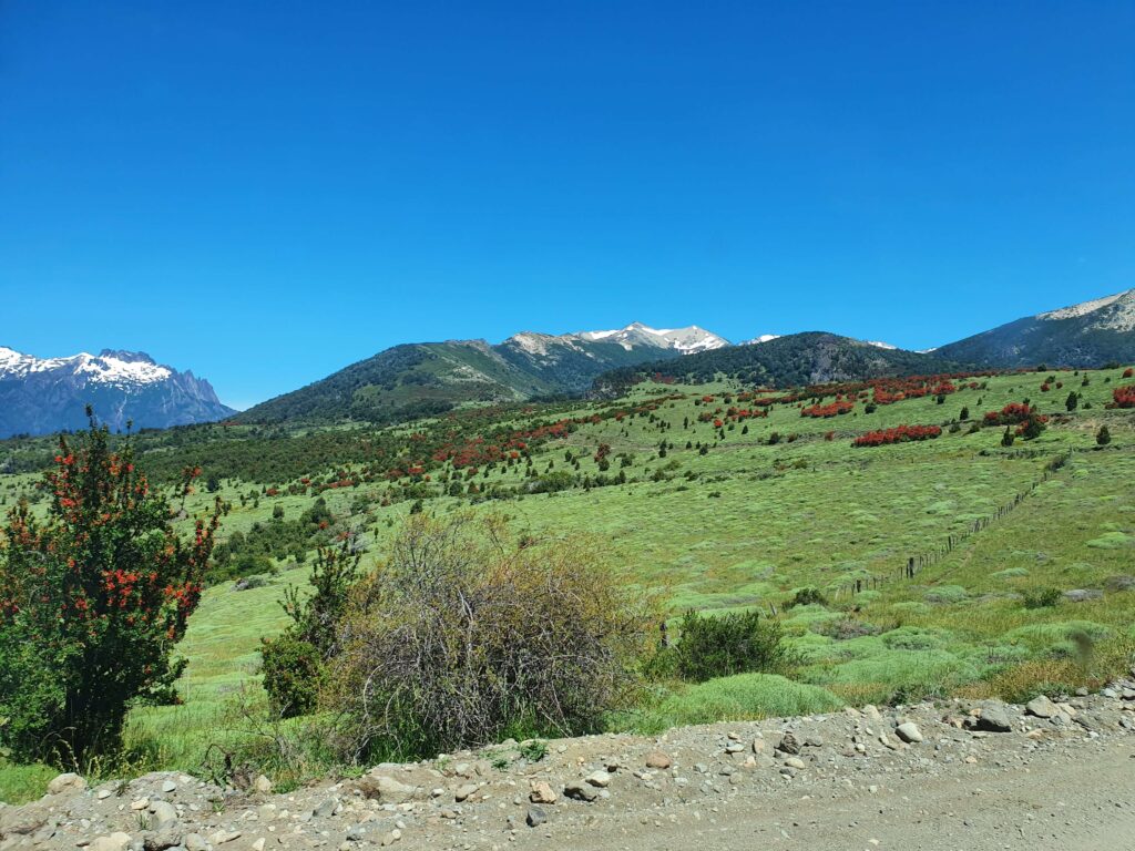 Parque Nacional Lanin na Patagônia Argentina