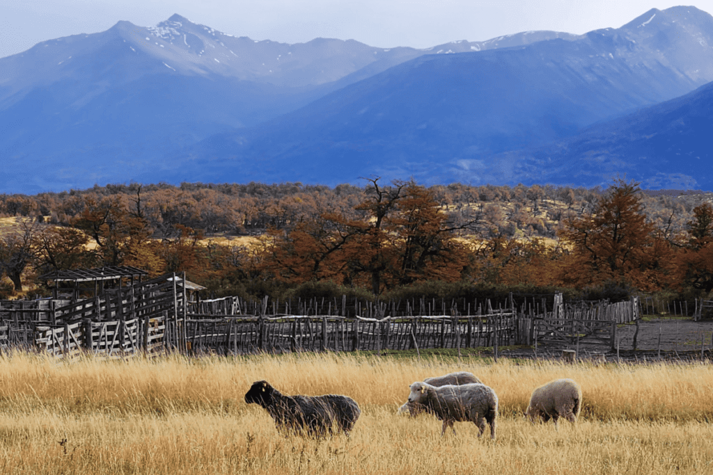 Estância Nibepo Aike cercada por montanhas no Parque Nacional Los Glaciares, Patagônia Argentina