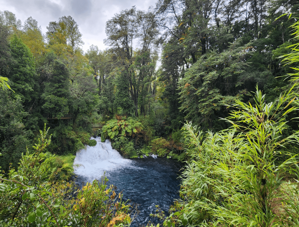 Ojos de Caburgua - Pucon