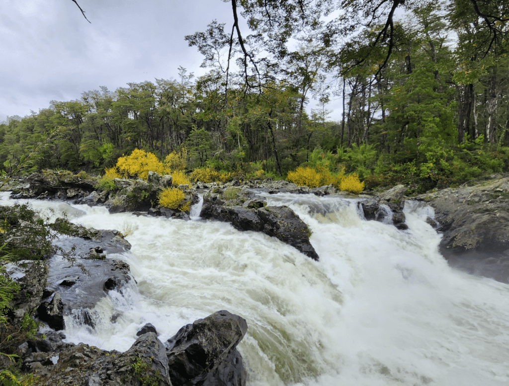 Parque Nacional Villarica - Araucanía - Patagônia - Chile