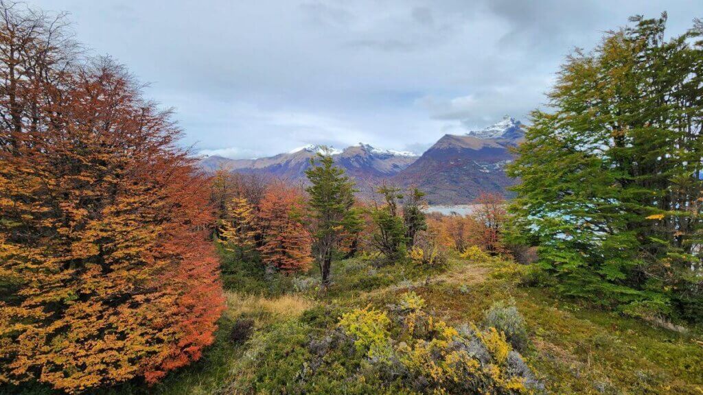 No outono, o Parque Nacional Los Glaciares em El Calafate apresenta árvores com folhas laranjas e vermelhas, criando um colorido especial e vibrante que contrasta com a paisagem montanhosa.