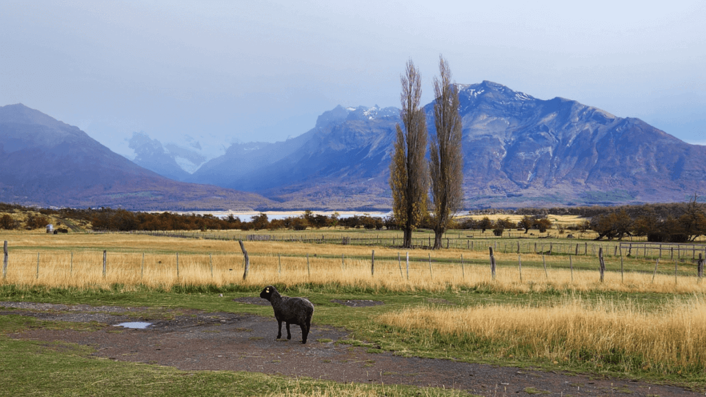 Vista da Estância Nibepo Aike no Parque Nacional Los Glaciares, preservando as tradições patagônicas em meio à natureza exuberante.