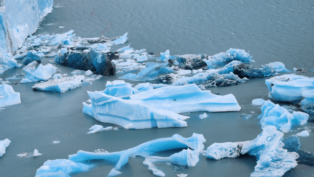 Fragmentos de blocos de gelo desprendidos do Glaciar Perito Moreno, flutuando no Lago Argentino e exibindo diferentes tons de azul cristalino.