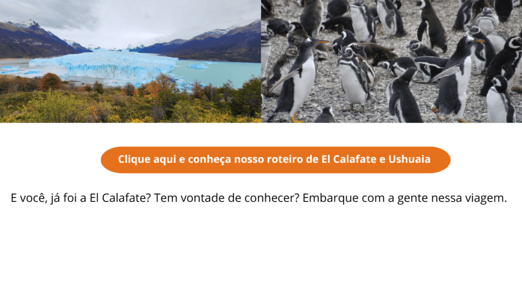 Imagem combinada de El Calafate e Ushuaia, mostrando as paisagens glaciares de El Calafate e os pinguins de Ushuaia, ideal para uma viagem que une duas das principais cidades da Patagônia Argentina.