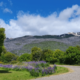 Paisagem primaveril no Parque Nacional Los Alerces, com flores silvestres no primeiro plano e montanhas ao fundo, na Patagônia Argentina.