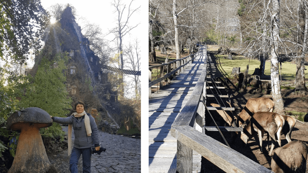 Refúgio secreto das fadas e duendes, uma área encantadora cercada por vegetação exuberante e elementos místicos na Reserva Biológica de Huilo Huilo, Chile.