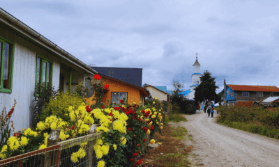 Rua de terra com flores silvestres à beira do caminho e a icônica Igreja de Rilán ao fundo, retratando a paisagem rural autêntica de Chiloé onde natureza e patrimônio cultural se integram harmoniosamente.