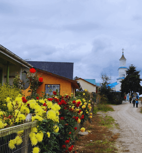 Rua de terra com flores silvestres à beira do caminho e a icônica Igreja de Rilán ao fundo, retratando a paisagem rural autêntica de Chiloé onde natureza e patrimônio cultural se integram harmoniosamente.