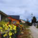 Rua de terra com flores silvestres à beira do caminho e a icônica Igreja de Rilán ao fundo, retratando a paisagem rural autêntica de Chiloé onde natureza e patrimônio cultural se integram harmoniosamente.