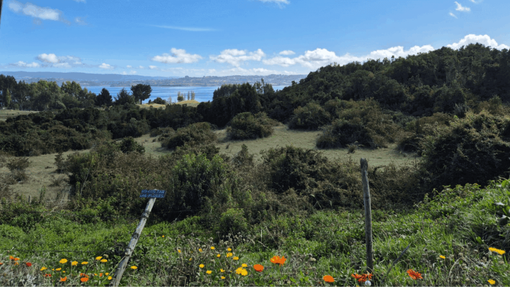 Paisagem da Ilha de Lemuy em Chiloé, com colinas verdes, campos abertos e o mar ao fundo, em um cenário que lembra a Toscana.