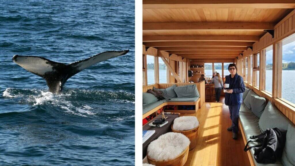 Embarcação de madeira navegando pela costa da Península de Rilán, em Chiloé, com avistamento de baleia jubarte no trajeto até a Igreja de Rilán.
