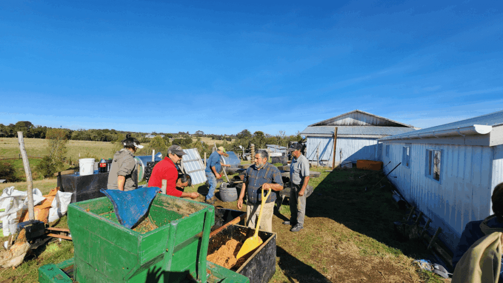 Prensagem tradicional de maçãs para chicha artesanal em estabelecimento rural de Chiloé, processo ancestral que preserva sabores autênticos da gastronomia chilota