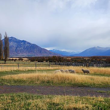 Estancia-Nipebo-Aike_El-Calafate-2